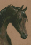 (image for) Bay Arabian
